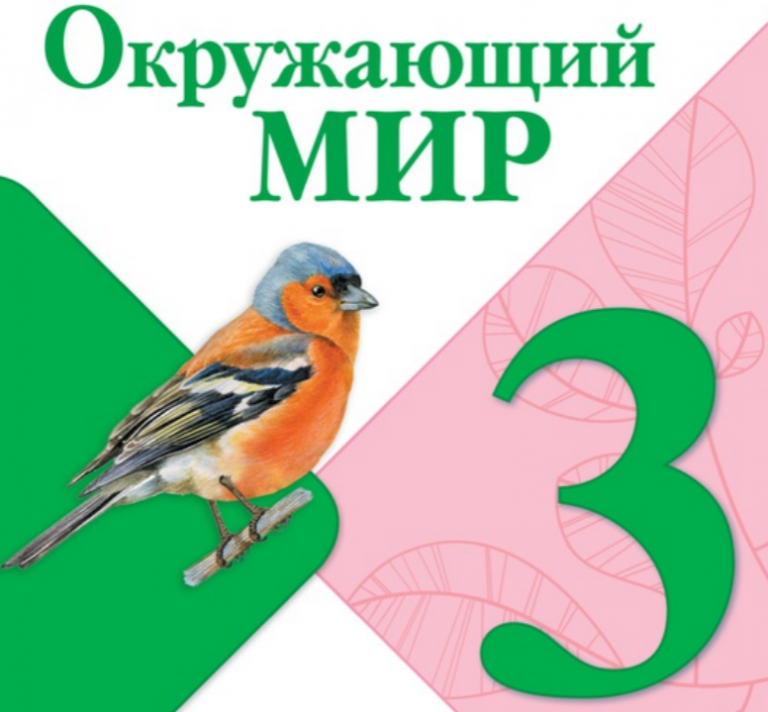 Окружающий мир. 3 класс. Учебник. Школа России