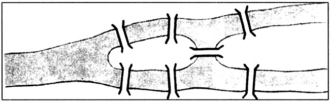Факультатив по математике, 4 класс. Решение задач на чётность