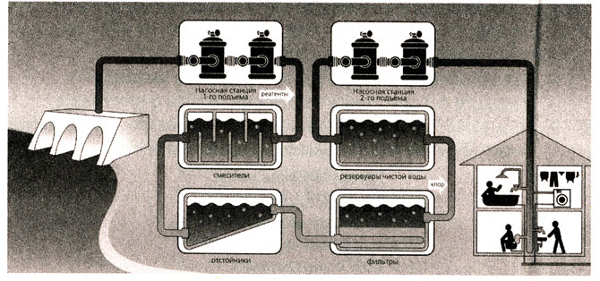 Классный час по экологии, 3 класс