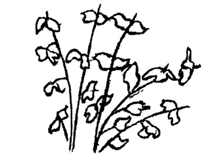 Классный час в начальной школе «Путешествие по сказкам Андерсена»