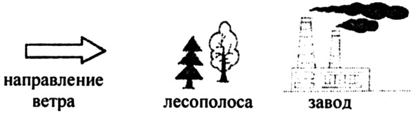 Классный час «Воздух и его охрана», 4 класс