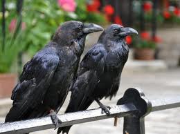 Конспект игрового урока по английскому языку в 4 классе. Прогулка по Лондону