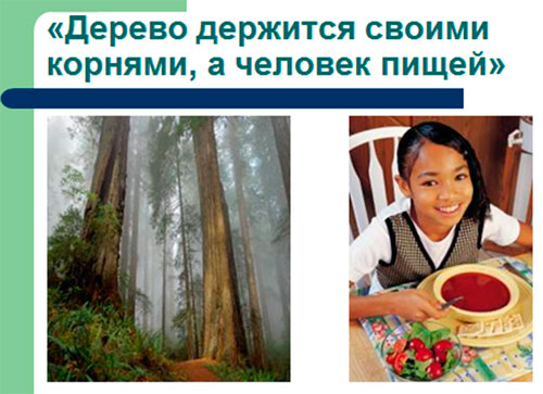 Конспект обобщающего урока по окружающему миру для 2 класса. УМК «Перспективная начальная школа»