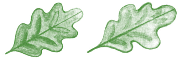 Конспект урока математики, 1 класс. Симметричные фигуры