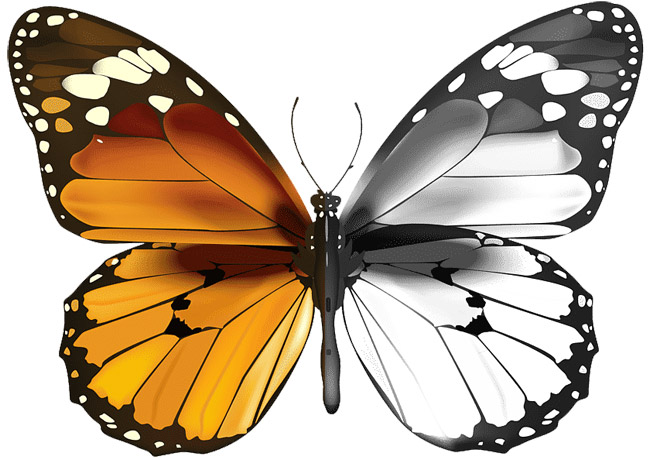 Конспект урока математики, 1 класс. Симметричные фигуры