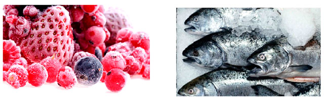 Конспект урока окружающего мира в 1 классе