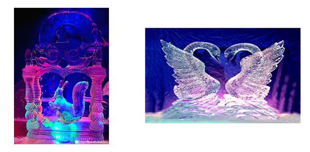 Конспект урока окружающего мира в 1 классе