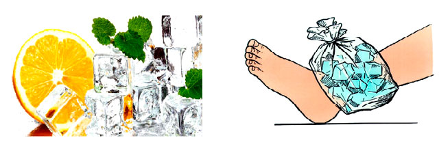 Конспект урока окружающего мира в 1 классе