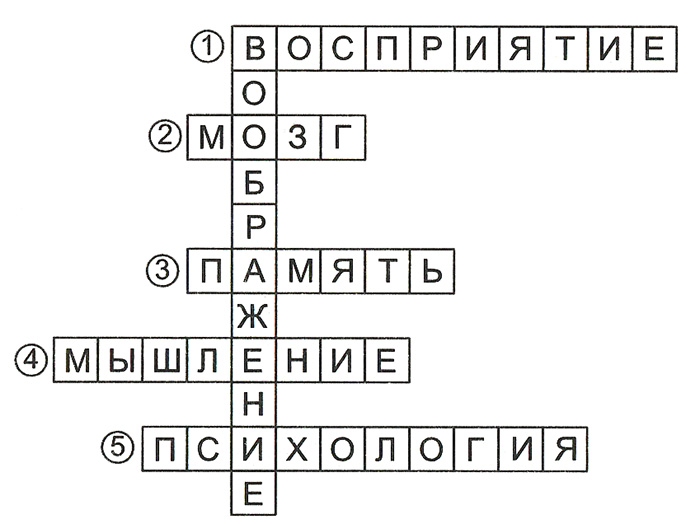 Конспект урока по окружающему миру, 3 класс. Общество. Плешаков