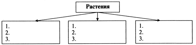 Конспект урока по окружающему миру, 3 класс. Разнообразие растений. Школа России