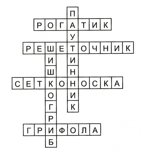 Конспект урока по окружающему миру, 3 класс. В царстве грибов. Плешаков