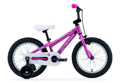 Конспект урока по ПДД в 4 классе