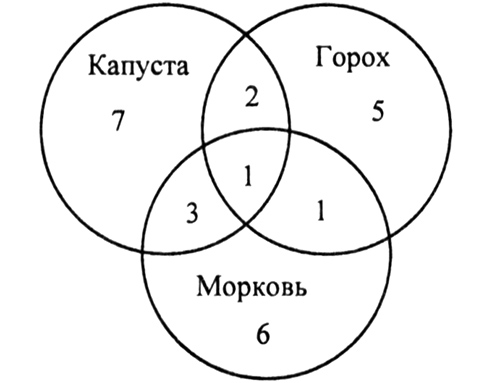 Круги Эйлера. Задачи с решениями, 5 класс