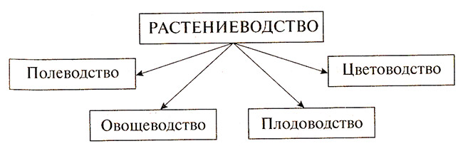 Растениеводство в нашем крае, 4 класс. Окружающий мир. Конспект урока
