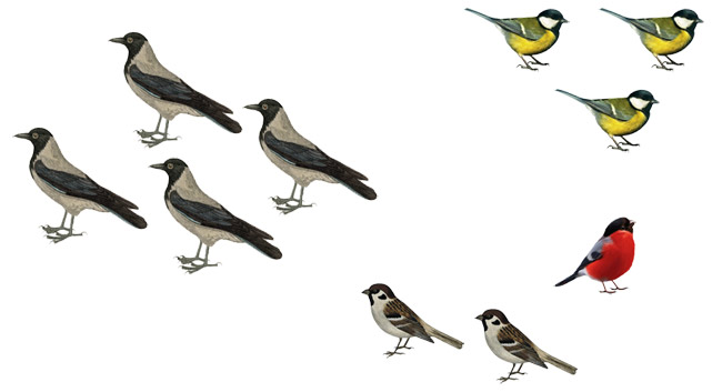 Урок математики, 1 класс. Закрепление темы «Счет в пределах 10»