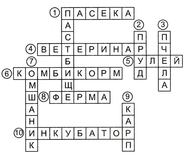 Урок по окружающему миру, 3 класс. Какая бывает промышленность