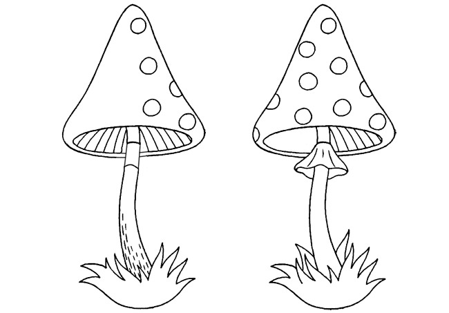 Урок путешествие по обучению грамоте в 1 классе