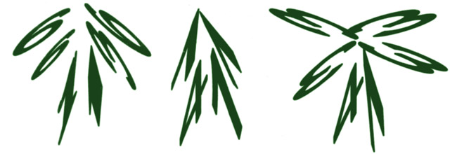 Внеклассное мероприятие по математике 6 классы на неделю математики