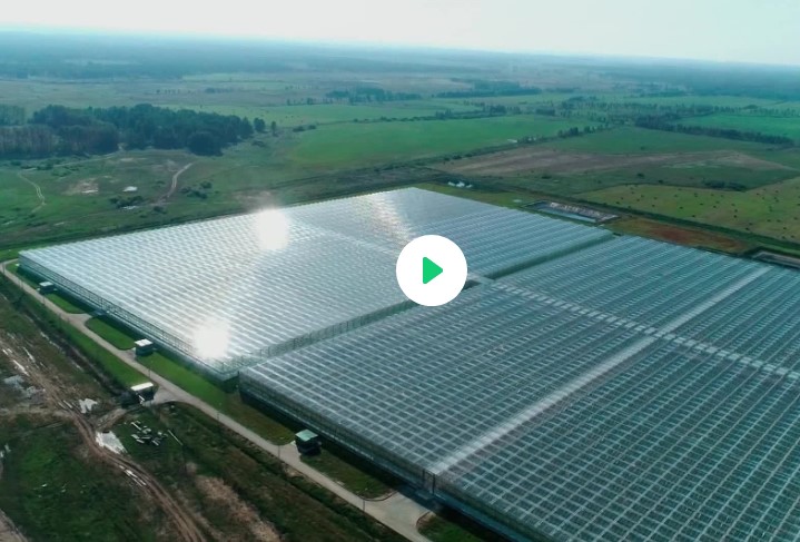 Видеоролик «Россия — моё будущее»