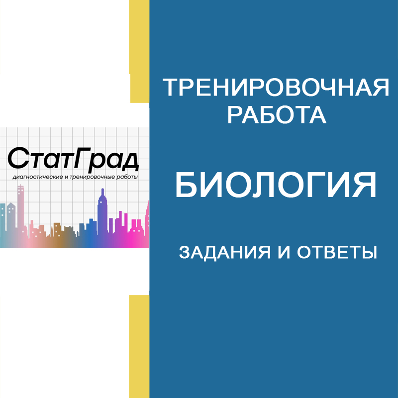 09.12.2024 Тренировочная работа №2