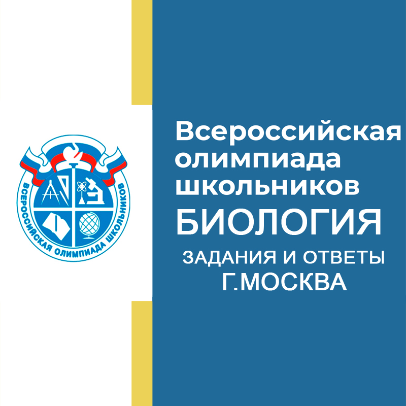 10.12.2024 Муниципальный этап
