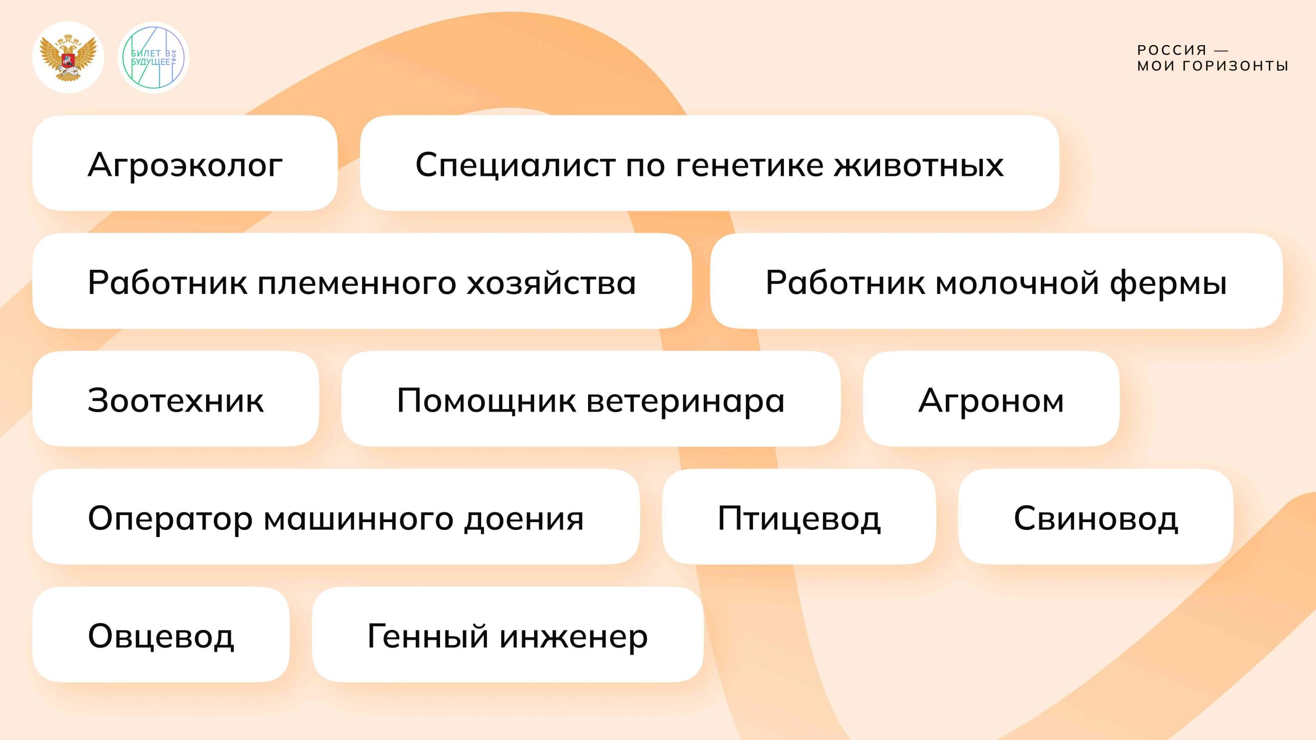 Игра-разминка «Кто тут эксперт?»