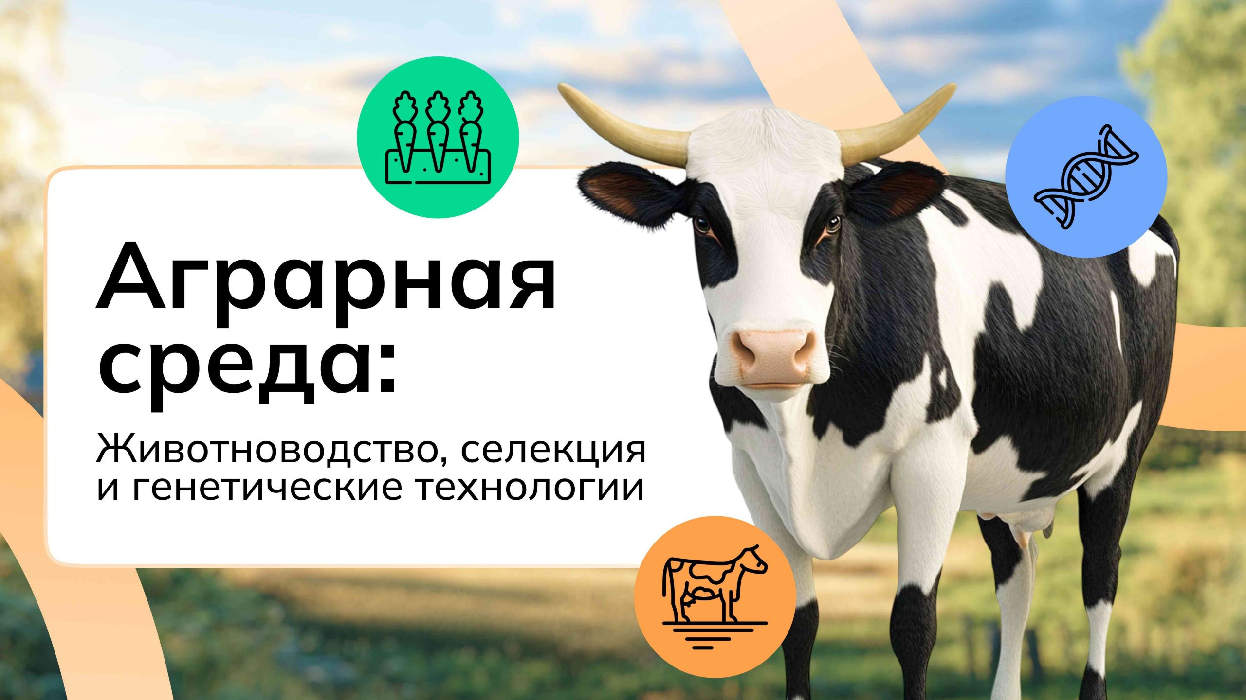 Видеоролик