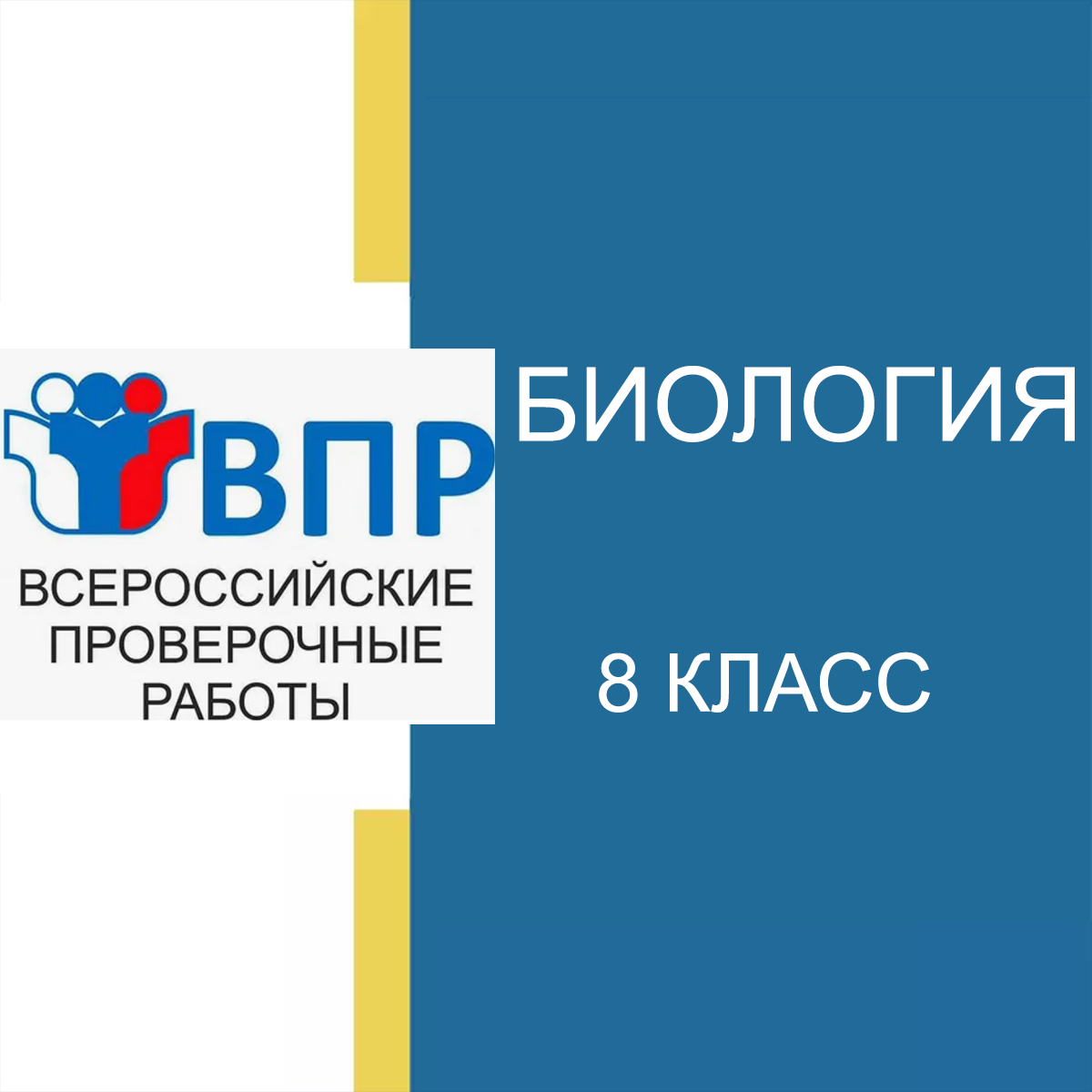 Новые ВПР 2025 по биологии 8 класс с ответами