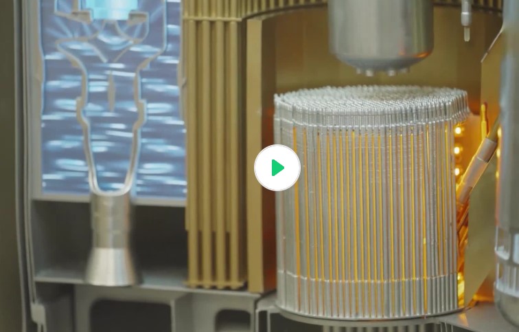 Видеоролик № 3 о направлениях образования