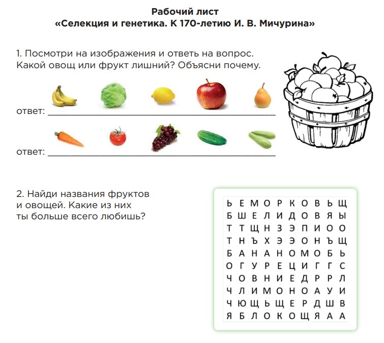 Рабочие листы на 10 ноября «Селекция и генетика. К 170-летию И.В. Мичурина»