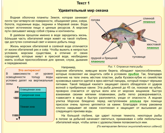 МЦКО по Функциональной грамотности для 5 класса 2025-2026
