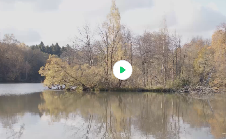 Видеоролик № 2: основная часть формулы 23 апреля 2026 Тема 30 «Практико-ориентированное занятие»